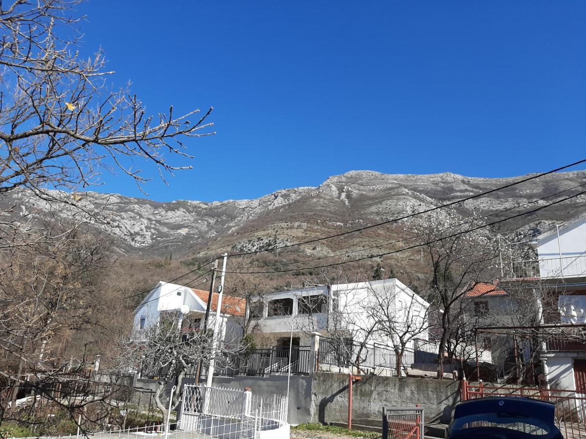Forest House Sutomore Dış mekan fotoğraf